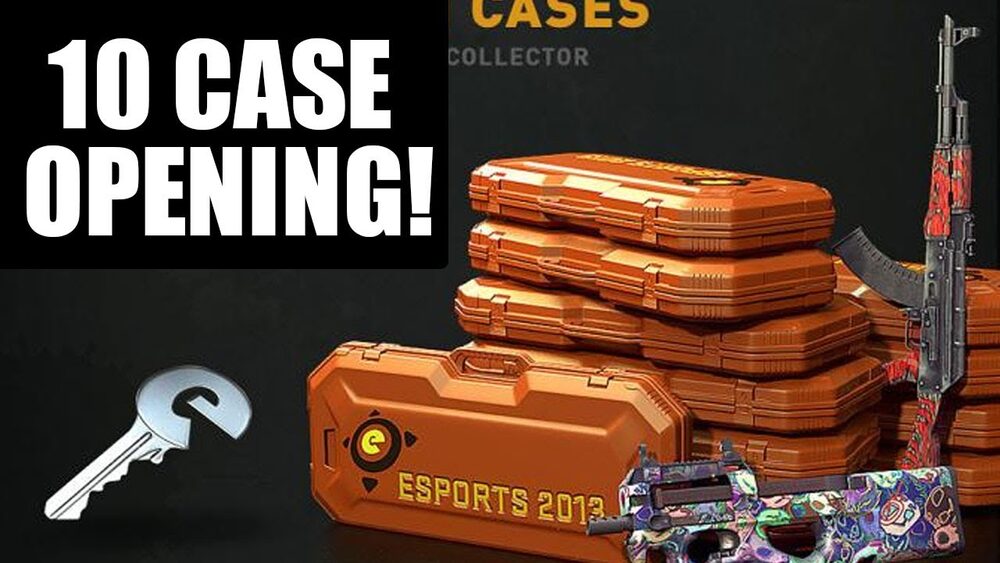 eSports 2013 Case