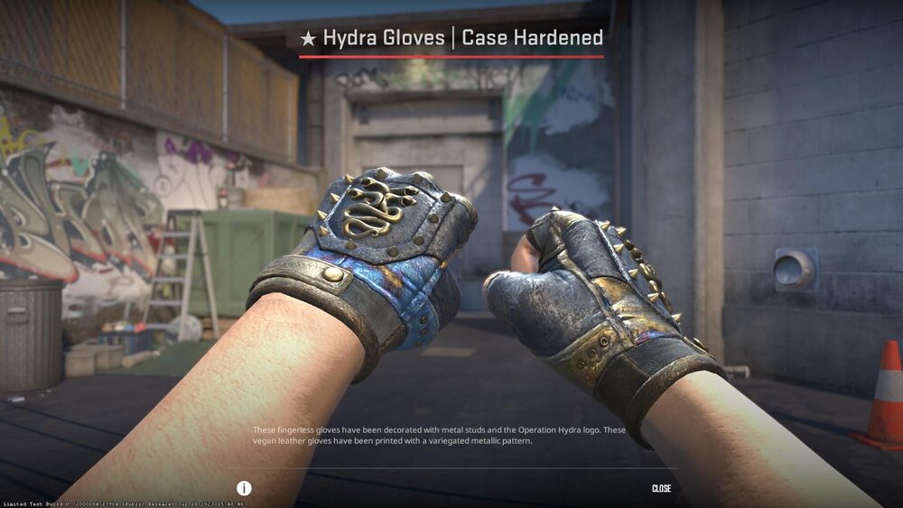 The Glove Case
